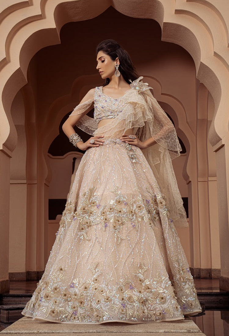 Aurora Cosmos Lehenga - Main Image