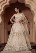 Aurora Cosmos Lehenga