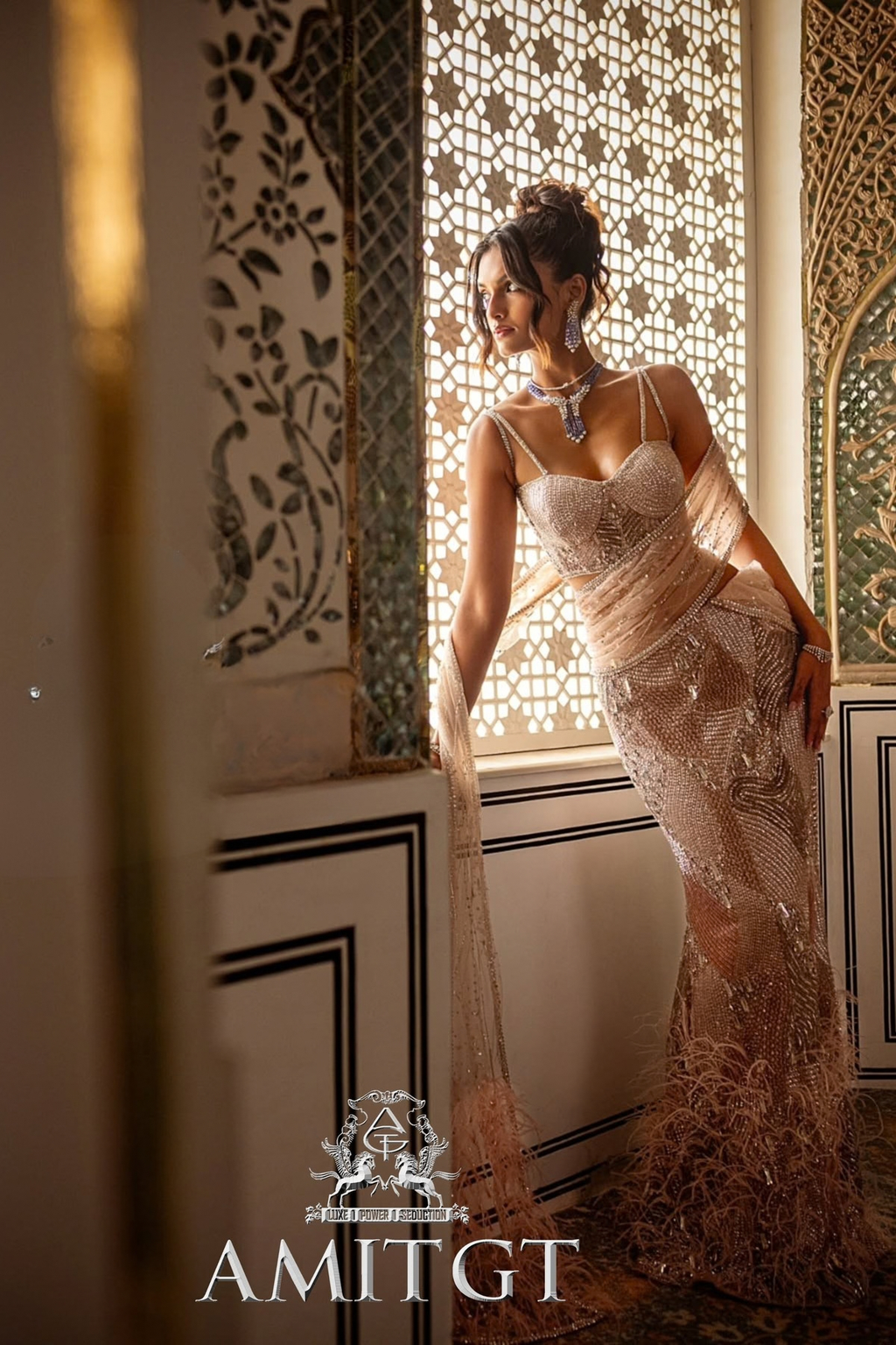 Zoya Saree Gown