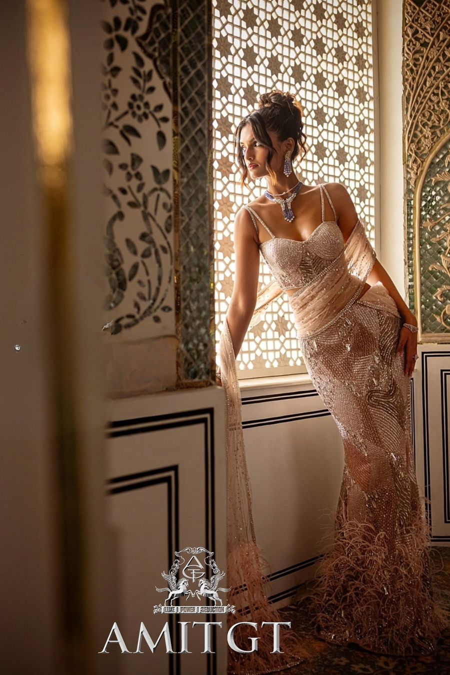 Zoya Saree Gown