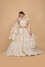 Bridal Lehenga Set With Bird Motif Embroidery