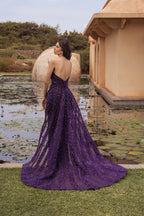 Aurora Luna Gown