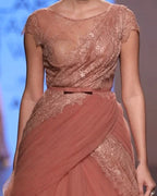 Light Tea Saree Ball Gown