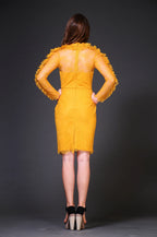 Frilled Chantilly Lace Dress